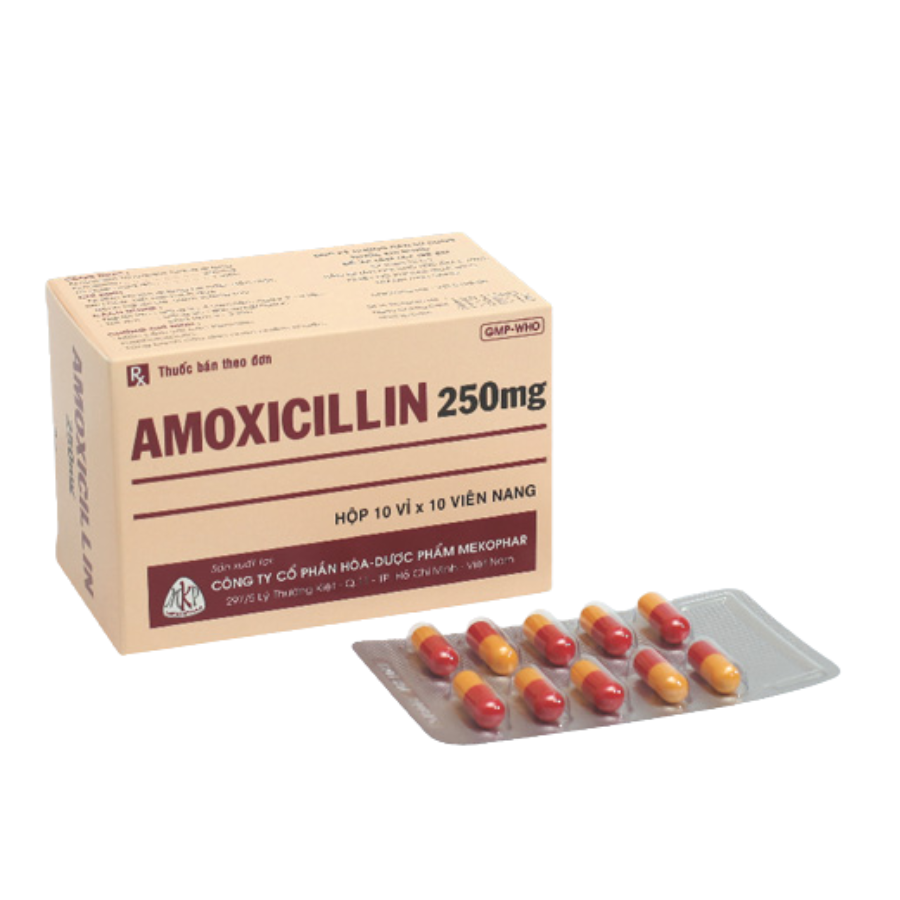 Nhà thuốc Smart Pharma - 2026-10-14T161938.296 Smart Pharma - Nha thuoc Smart Pharma 2026 10 14T161938.296