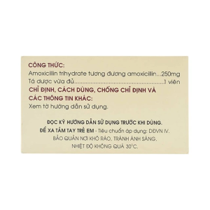 Smart Pharma - Thuốc Amoxicillin 250mg Mekophar điều trị nhiễm khuẩn (10 vỉ x 10 viên) 3 Smart Pharma - Nha thuoc Smart Pharma 2026 10 14T161950.845