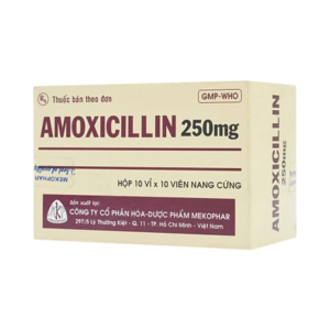 Smart Pharma - Thuốc Amoxicillin 250mg Mekophar điều trị nhiễm khuẩn (10 vỉ x 10 viên) 1 Smart Pharma - Nha thuoc Smart Pharma 2026 10 14T162003.087
