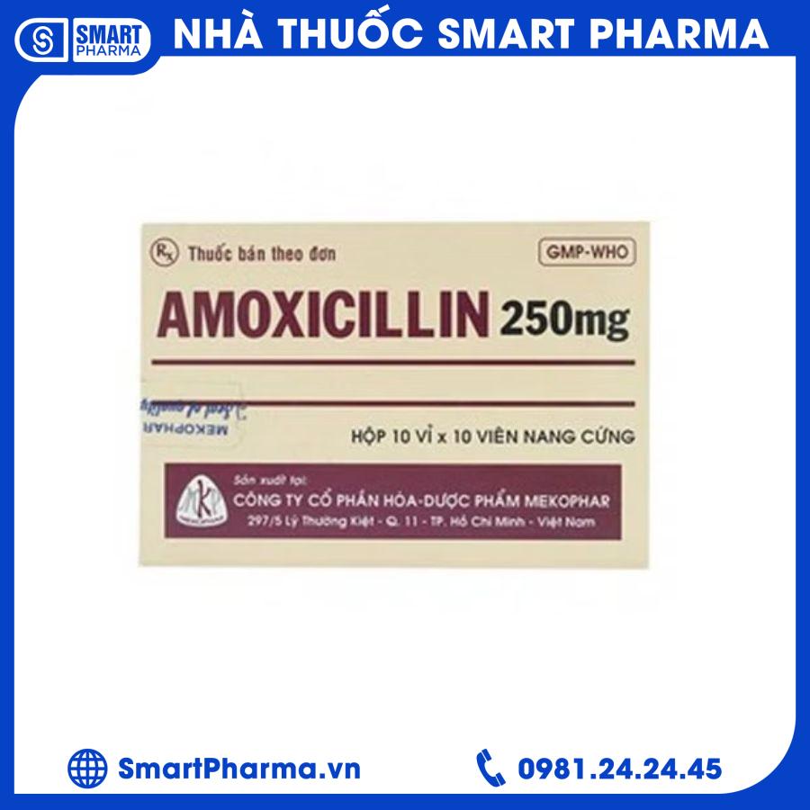 amoxicillin Smart Pharma - amoxicillin 1