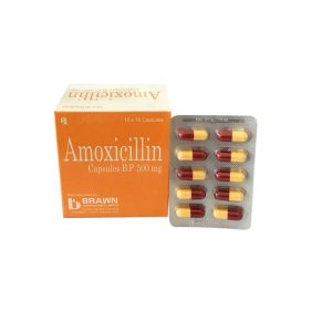 Thuốc Amoxicillin Capsules BP 500mg Brawn  (10 vỉ x 10 viên)