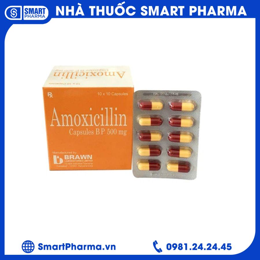 amoxicillin Smart Pharma - amoxicillin 2