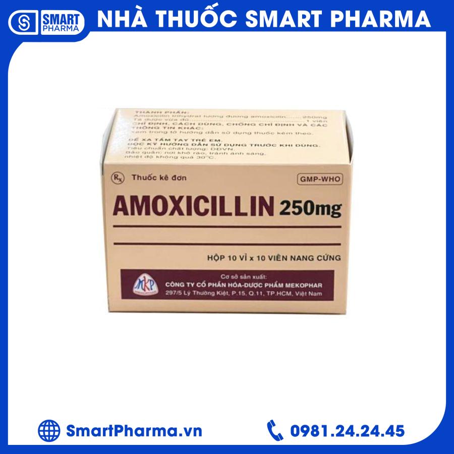 amoxicillin. 2 Smart Pharma - amoxicillin. 2 1