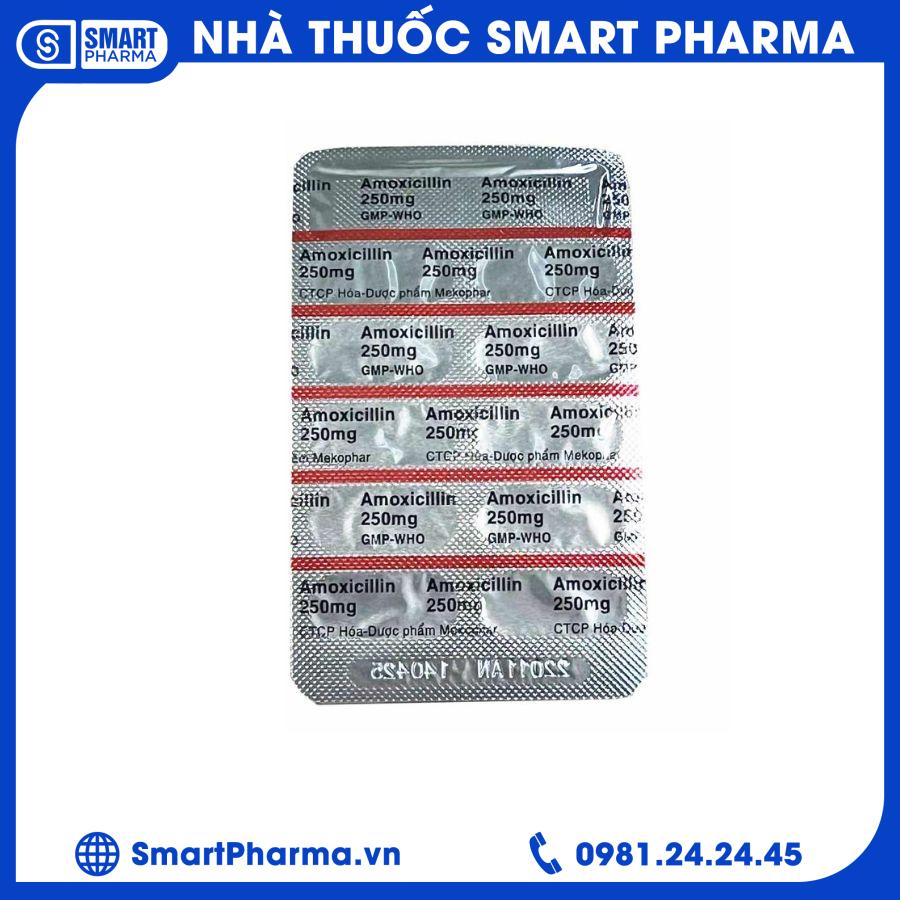 amoxicillin.1 Smart Pharma - amoxicillin.1 1