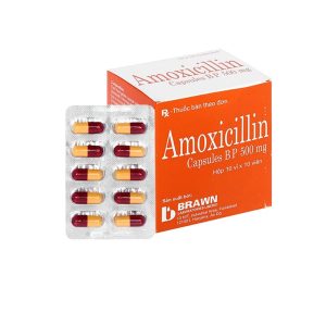 Smart Pharma - Thuốc Amoxicillin Capsules BP 500mg Brawn (10 vỉ x 10 viên) 1 Smart Pharma - amoxicillin.1 2