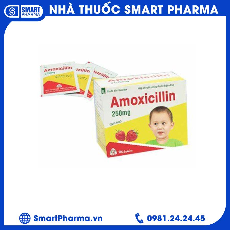 amoxicillin.1 Smart Pharma -