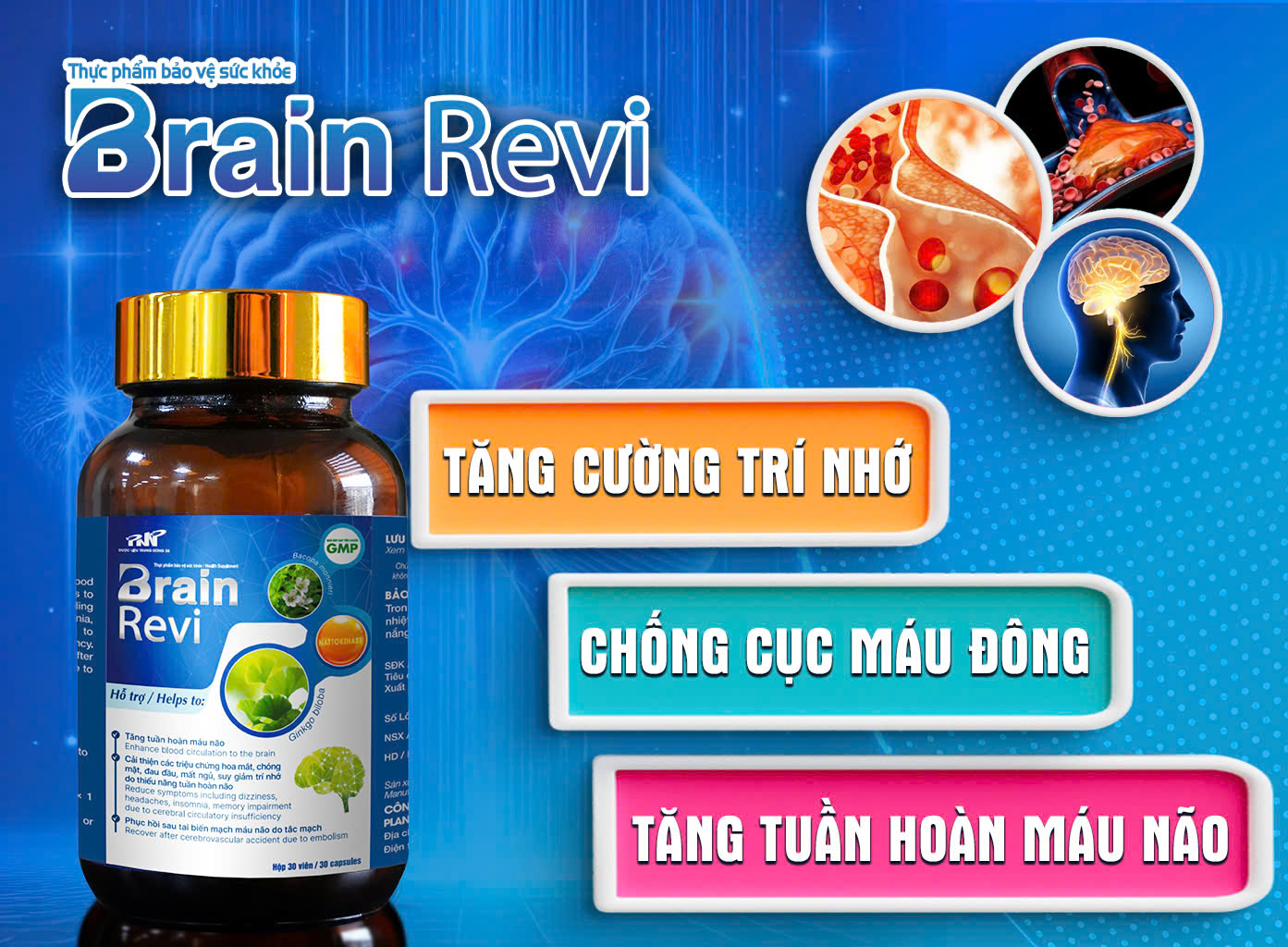 Smart Pharma - Brain Revi- Dưỡng não chuyên sâu, kiện toàn trí nhớ 3 Smart Pharma - co che