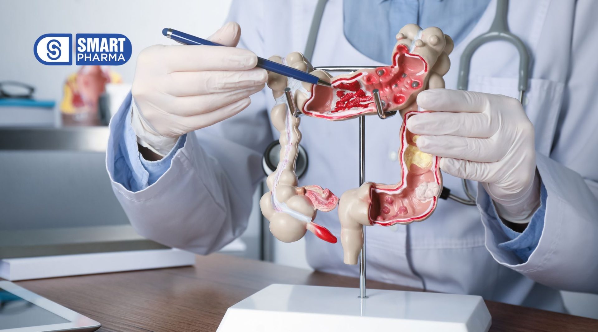 Đại tràng đóng vai trò quan trọng đối với cơ thể
