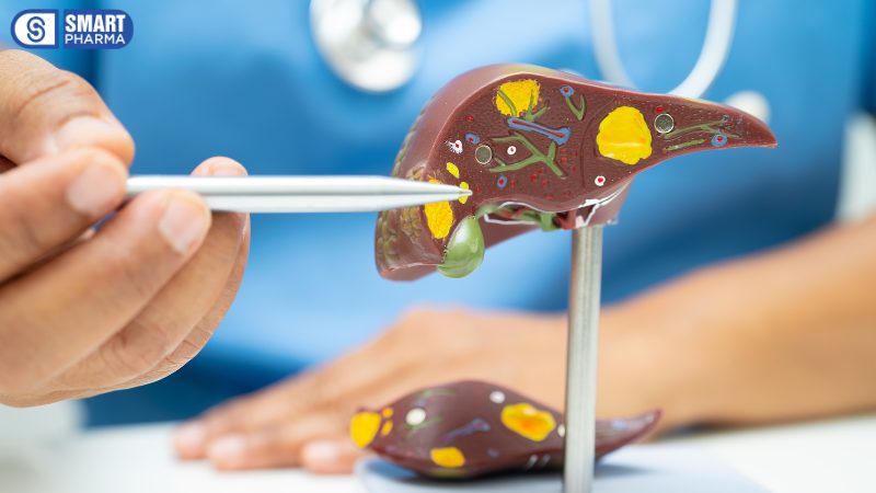 Smart Pharma - 5 3 3