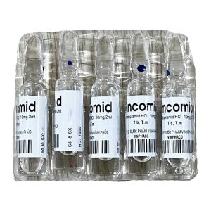Smart Pharma - Thuốc Vincomid 10mg/2ml 2 Smart Pharma - vincomid 6 k4044