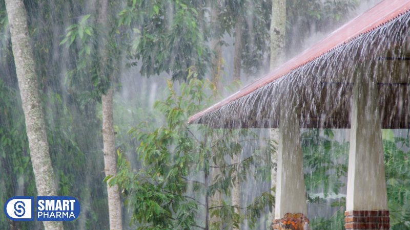 Smart Pharma - 7 Thói quen phòng ngừa đột quỵ hiệu quả vào mùa lạnh 5 Smart Pharma - 3 1 1