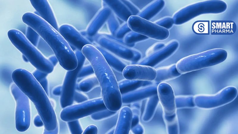 Smart Pharma - Thuốc bổ gan dùng thế nào cho an toàn? Khi nào nên sử dụng để bảo vệ gan hiệu quả 7 Smart Pharma - 4