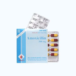 Smart Pharma - Amoxicillin 500mg Domesco – Kháng sinh điều trị nhiễm khuẩn 2 Smart Pharma - NT Smartpharma 1 2