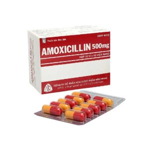 Smart Pharma - Amoxicillin 500mg Mekophar – Kháng sinh điều trị nhiễm khuẩn 2 Smart Pharma - NT Smartpharma 1 4