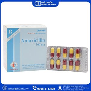 Amoxicillin 500mg Domesco – Kháng sinh điều trị nhiễm khuẩn