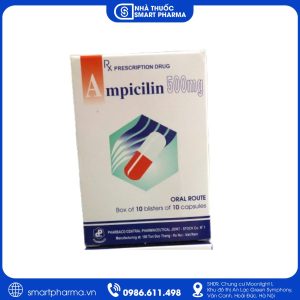 Ampicillin 500mg TW1 – Thuốc kháng sinh điều trị nhiễm khuẩn