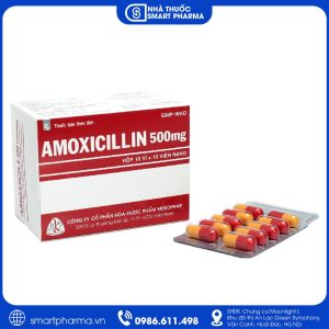 Amoxicillin 500mg Mekophar – Kháng sinh điều trị nhiễm khuẩn