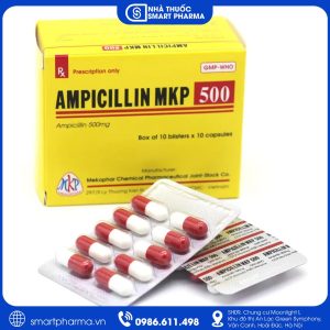 Ampicillin 500mg Mekophar – Kháng sinh điều trị nhiễm khuẩn