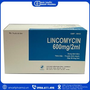 Lincomycin 600mg/2ml TW1 - Điều trị nhiễm khuẩn