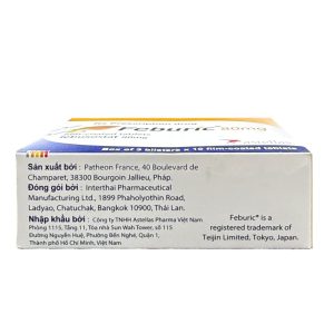 Smart Pharma - Thuốc Feburic 80mg điều trị tăng acid uric huyết mạn tính trong bệnh gout 3 Smart Pharma - Page Trang 2026 07 06T134932.926