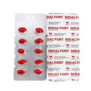 Smart Pharma - Thuốc Nidal Fort 75mg Ampharco điều trị đau và viêm trong các bệnh lý cơ xương khớp 3 Smart Pharma - NT SMART PHARMA 2026 08 25T161059.125