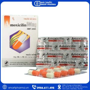 Amoxicillin 500mg Pharbaco điều trị nhiễm khuẩn đường hô hấp, tai mũi họng và tiết niệu