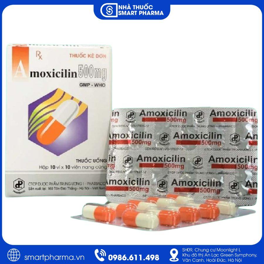 NT Smartpharma (11) Amoxicillin 500mg Pharbaco điều trị nhiễm khuẩn đường hô hấp, tai mũi họng và tiết niệu
