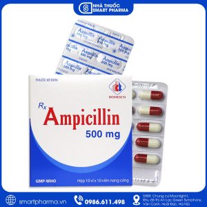 Ampicillin Domesco 500mg điều trị nhiễm khuẩn đường hô hấp, tai mũi họng và tiết niệu