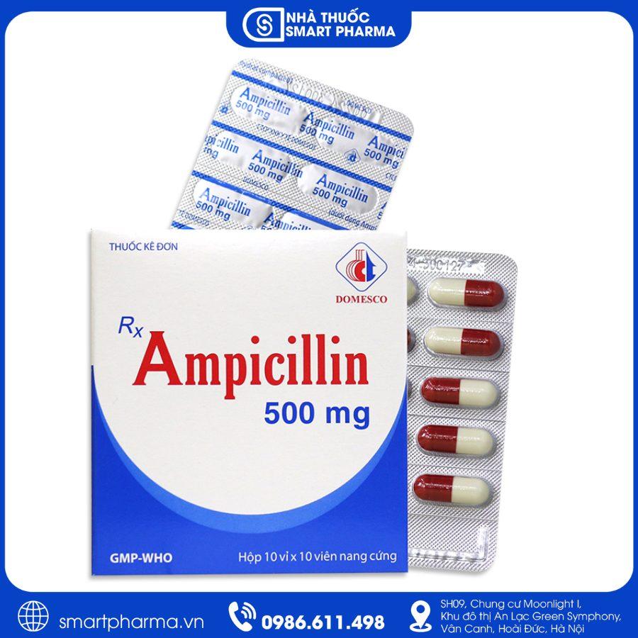 NT Smartpharma (12) Ampicillin Domesco 500mg điều trị nhiễm khuẩn đường hô hấp, tai mũi họng và tiết niệu