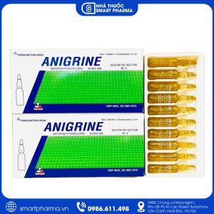 Thuốc Anigrine 20mg/2ml – Cải thiện tuần hoàn máu não, tăng cường chức năng thần kinh