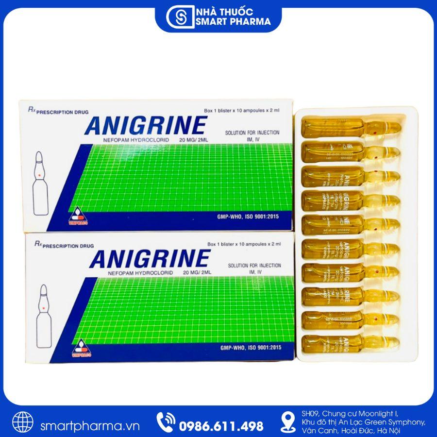 NT Smartpharma (23) Thuốc Anigrine 20mg/2ml – Cải thiện tuần hoàn máu não, tăng cường chức năng thần kinh