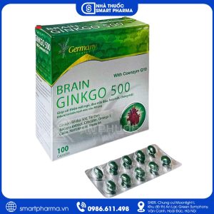 Brain Ginkgo 500 – Hỗ trợ hoạt huyết, tăng cường tuần hoàn não