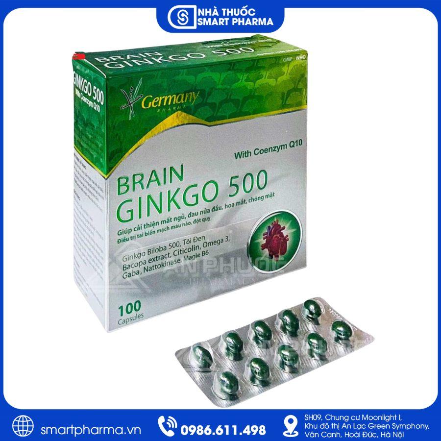 NT Smartpharma (27) Brain Ginkgo 500 – Hỗ trợ hoạt huyết, tăng cường tuần hoàn não