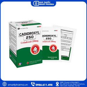 Cadidroxyl 250 – Kháng sinh điều trị nhiễm khuẩn
