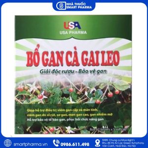 Bổ Gan Cà Gai Leo – Tăng cường chức năng gan, bảo vệ tế bào gan