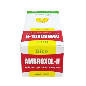 Smart Pharma - Thuốc Ambroxol - H giúp tiêu nhầy, loãng đờm và cải thiện các bệnh lý đường hô hấp (50ml) 2 Smart Pharma - Nha thuoc Smartpharma 19 1