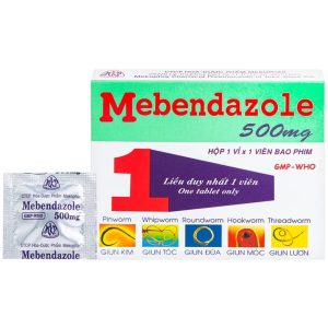 Smart Pharma - Mebendazole 500mg điều trị nhiễm giun đường ruột 1 Smart Pharma - Page Trang 2026 08 11T095029.722