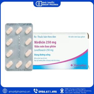 Thuốc Nirdicin 250mg điều trị nhiễm khuẩn đường hô hấp, tiết niệu và da