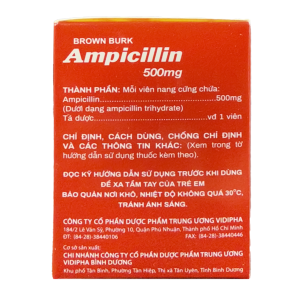 Smart Pharma - Thuốc Ampicillin 500mg Brown Burk điều trị nhiễm khuẩn do vi khuẩn nhạy cảm (10 vỉ x 10 viên) 1 Smart Pharma - Nha thuoc Smart Pharma 2026 10 15T172159.037